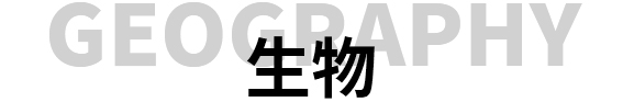 西安佳成补习学校_西安高考补习,西安初三补习,高三全日制补习,初三全日制补习,高三复读补习学校